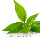 245-377-3.webp