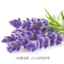 247-379-4.webp