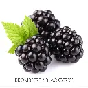 248-380-3.webp